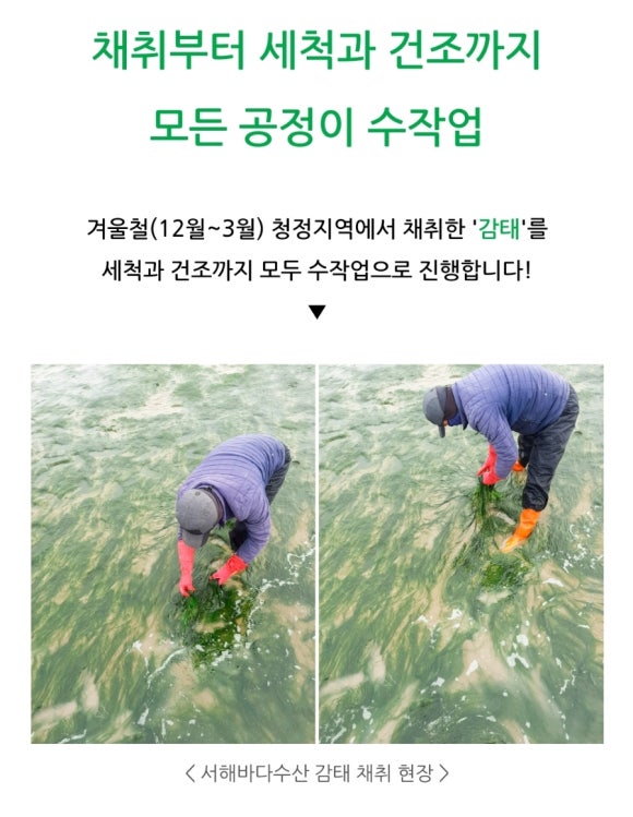 서해바다수산 이미지