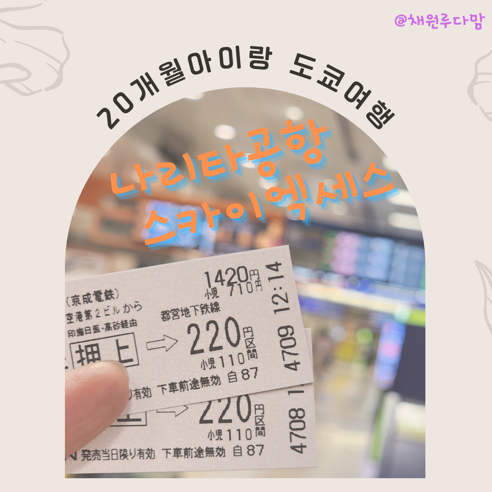 트레블엑세스 이미지