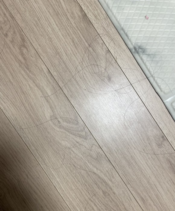 필헤어라인 이미지