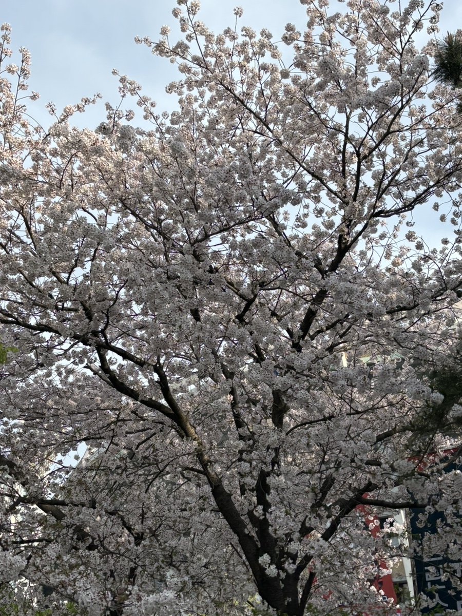 교촌치킨사직 이미지