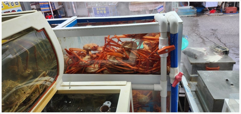 한마음대게수산 이미지