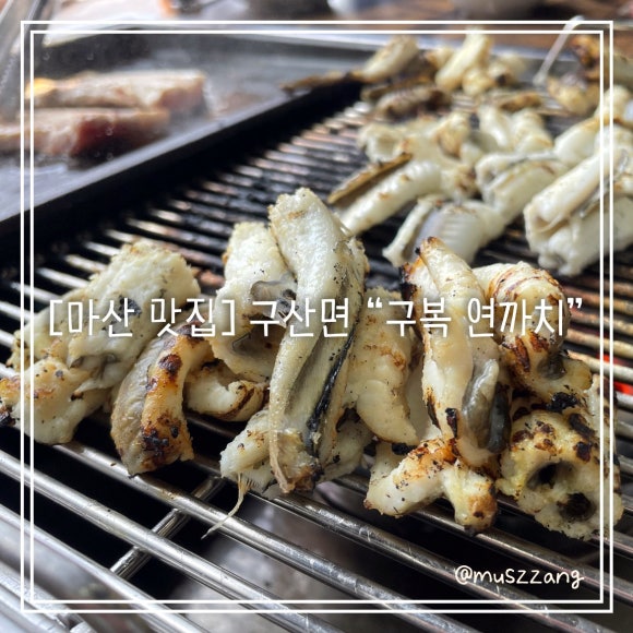 구복연까치 이미지