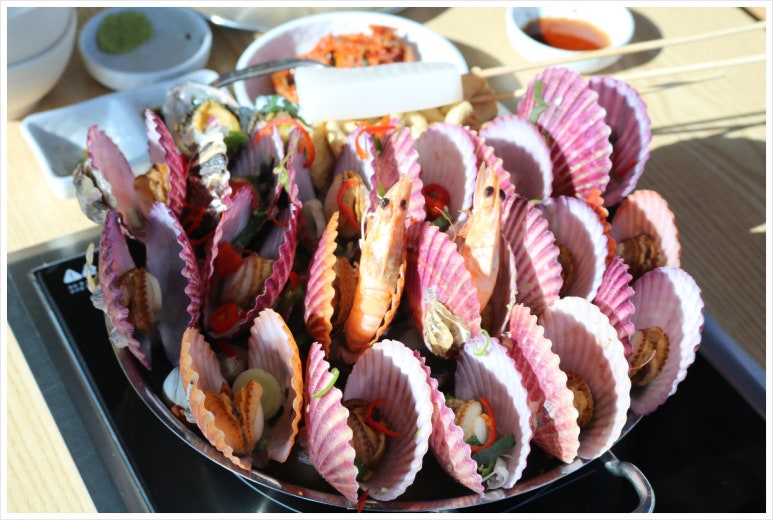 용궁조개 이미지