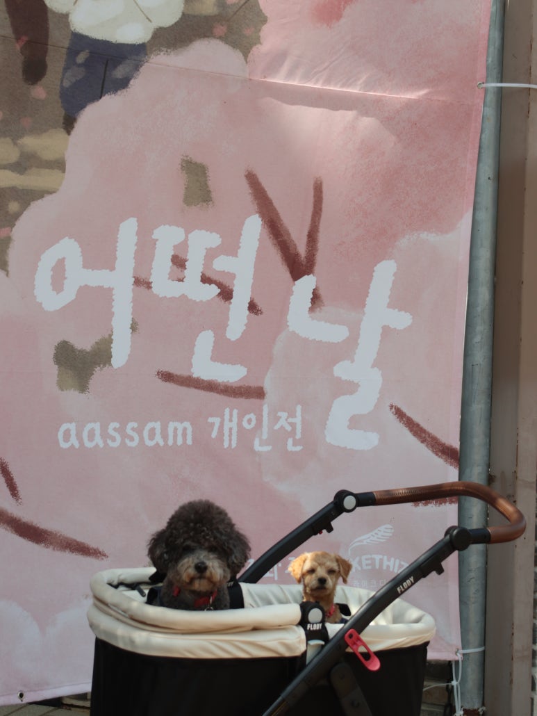 라이크디즈위드 이미지