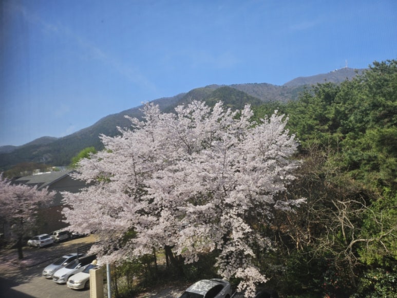(주)엔큐엔에이 이미지