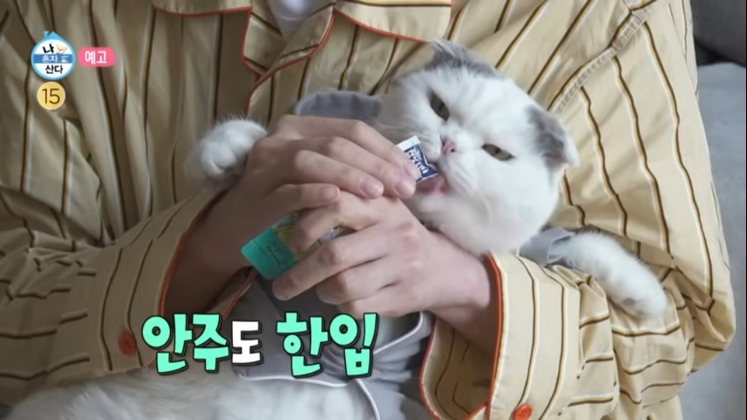 복조리만두 이미지