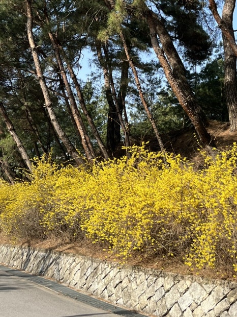 (주)브이아이피서비스 이미지