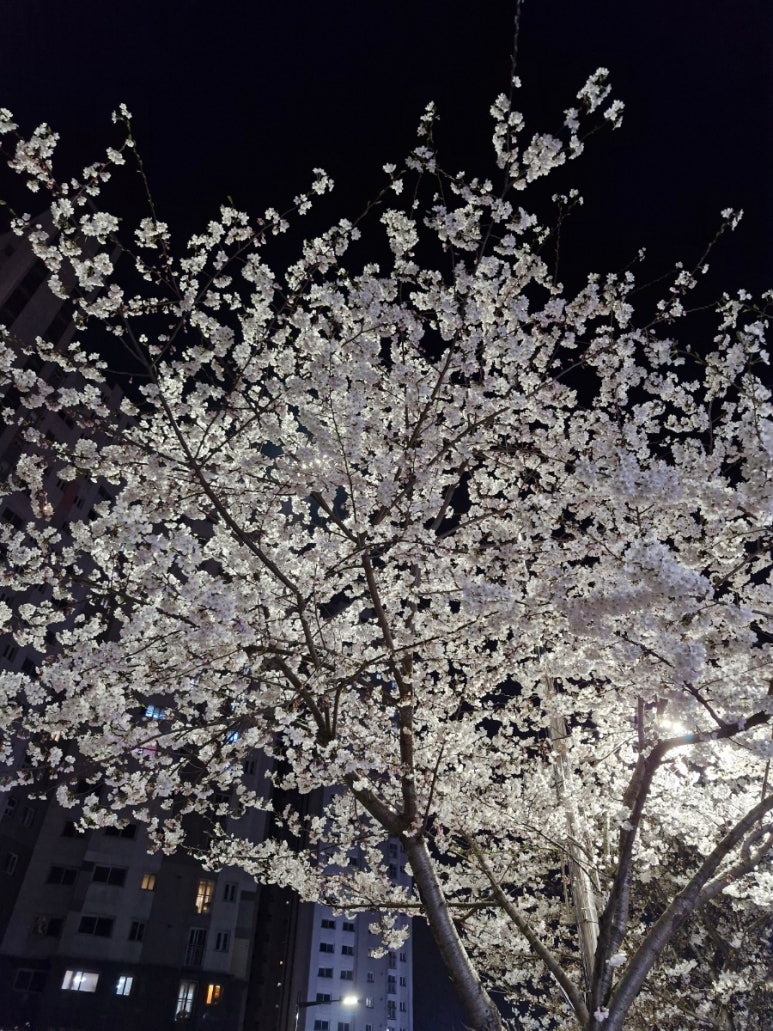 누구나홀닭반한닭 이미지