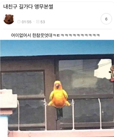 클라이밍파크 이미지