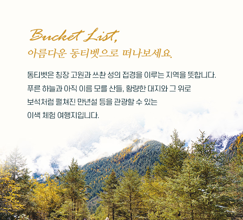 미지로여행세상 이미지