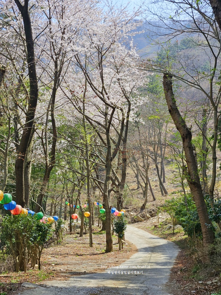 칠보사입구 이미지