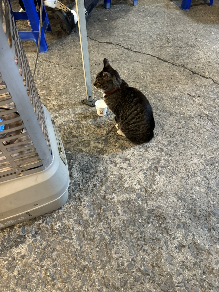 금용카센타 이미지