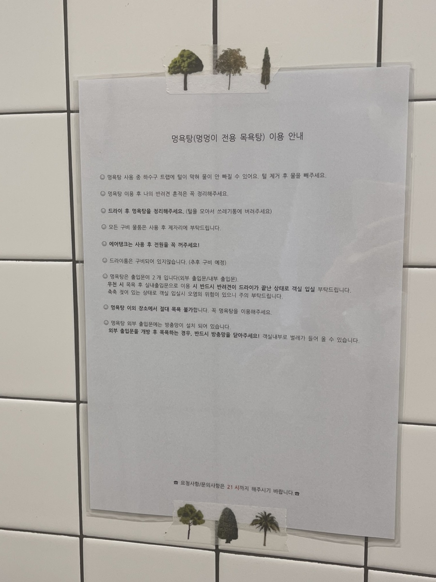 멍온스테이 이미지