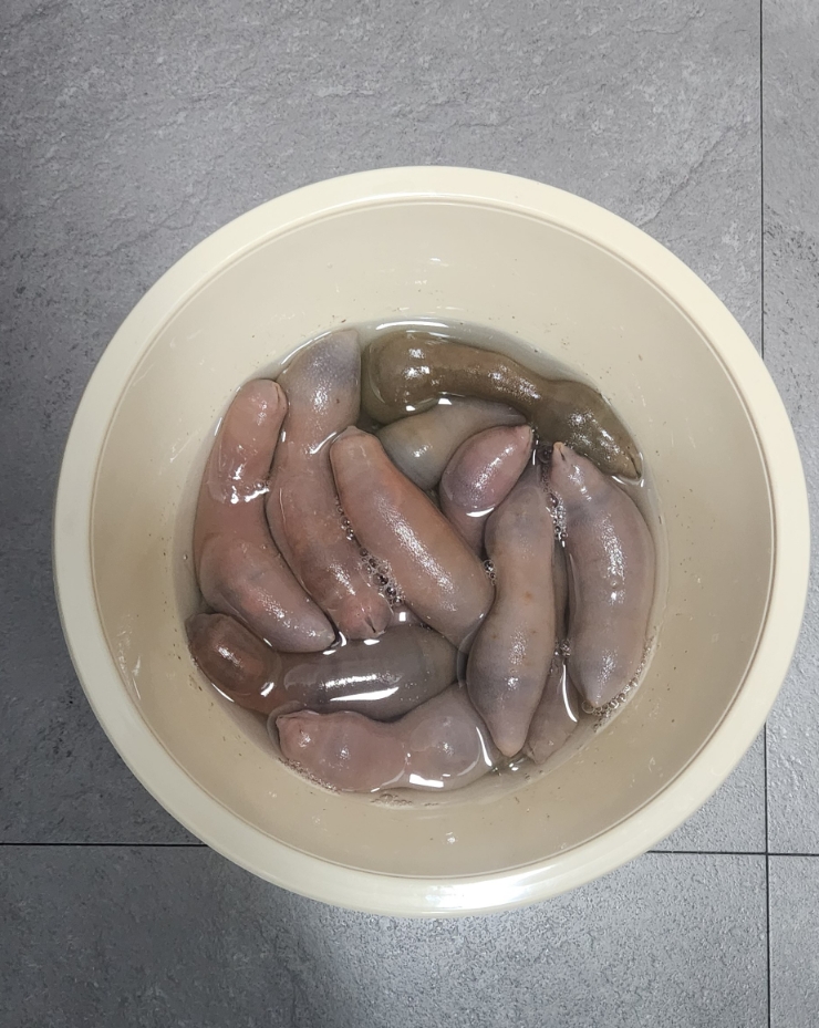 부엉김밥 이미지
