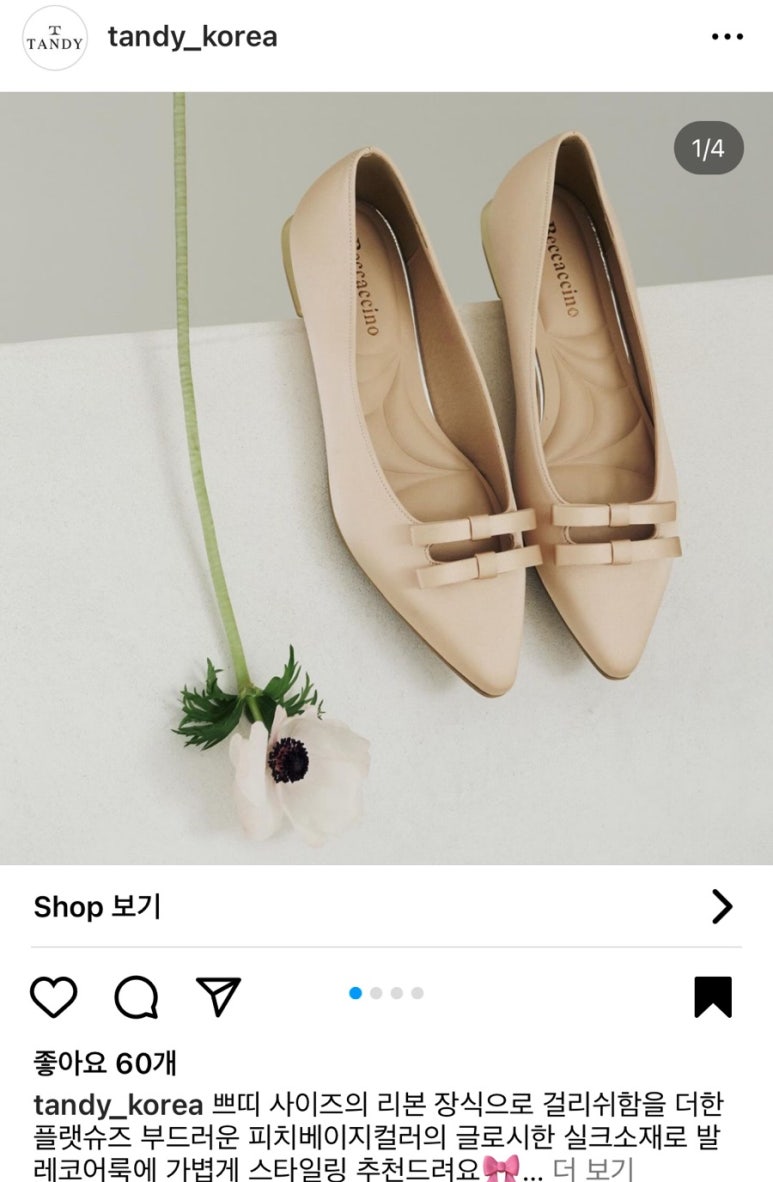 디자인모오 이미지