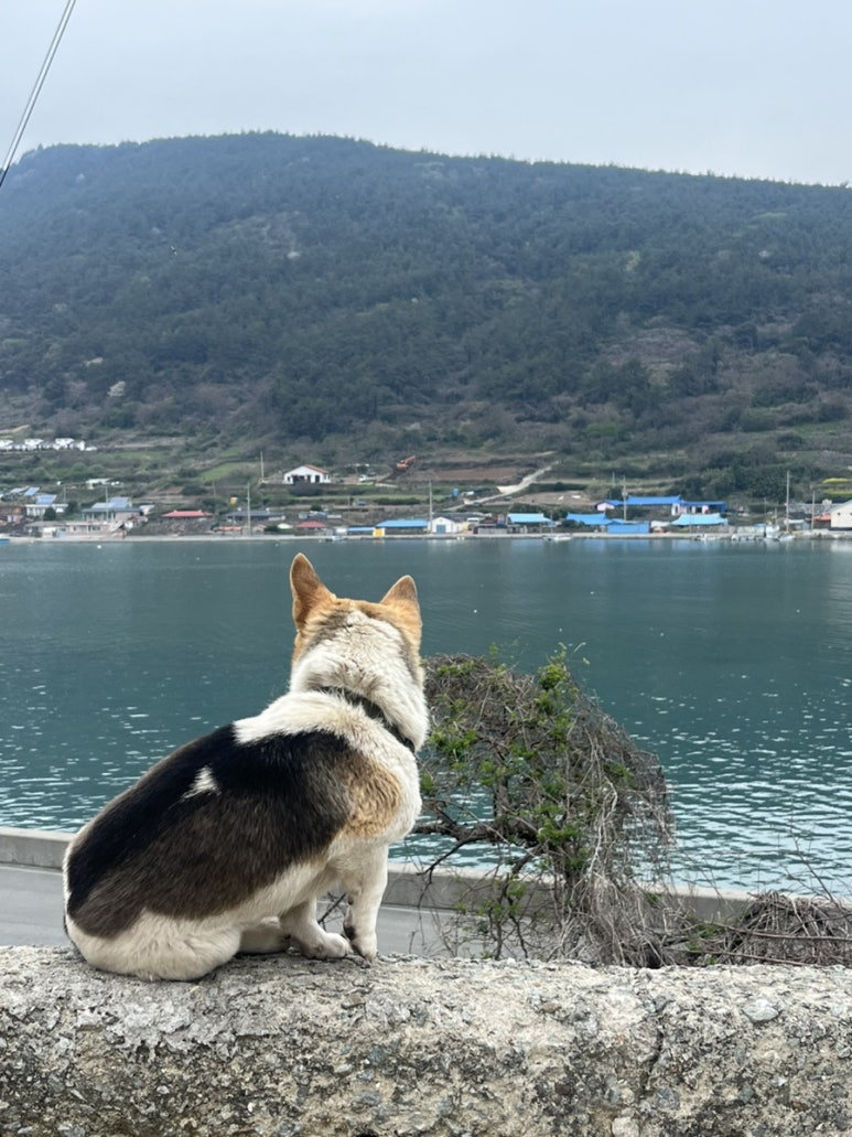 카페마르 이미지