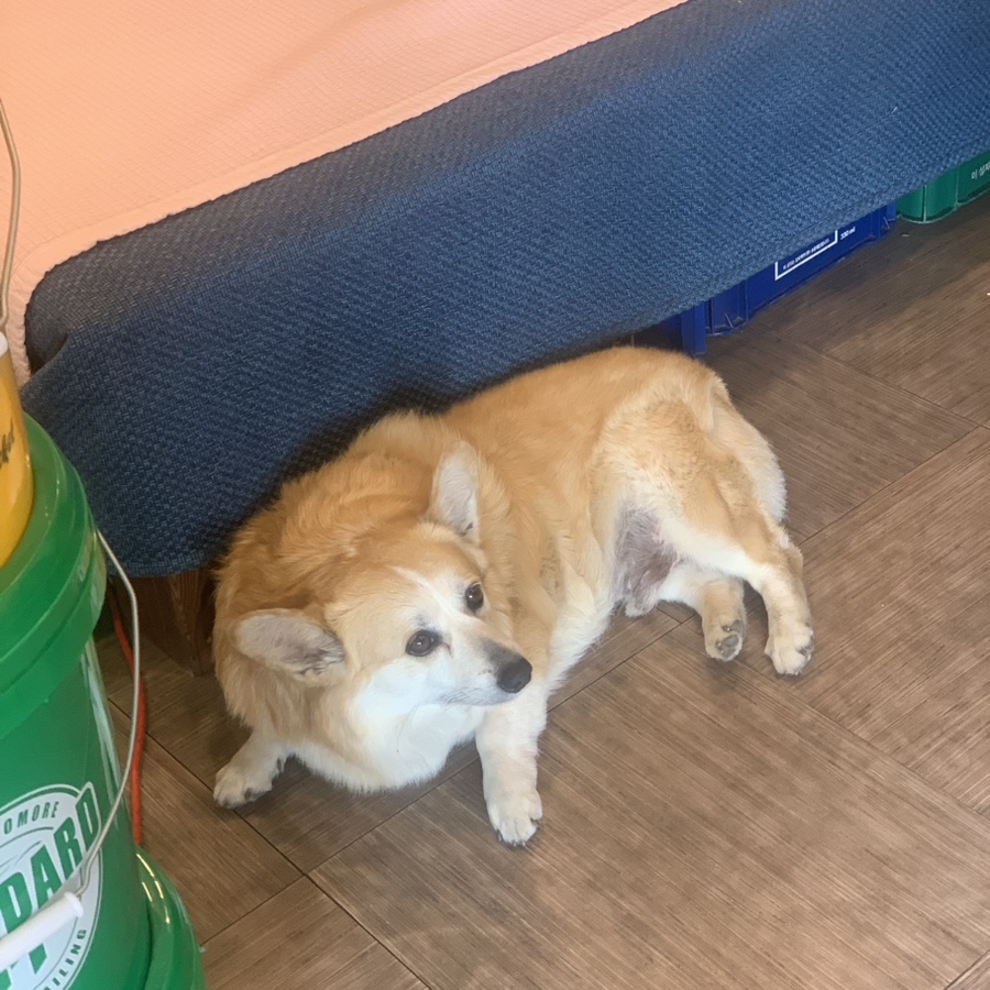 경서재 이미지