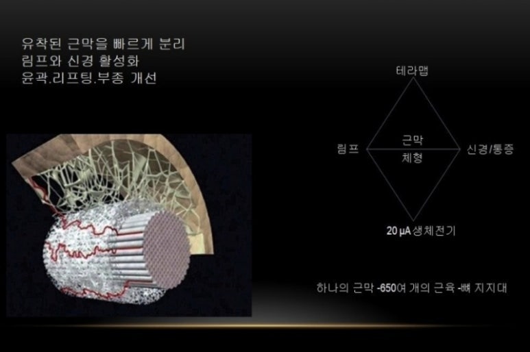 라피움 에스테틱 이미지