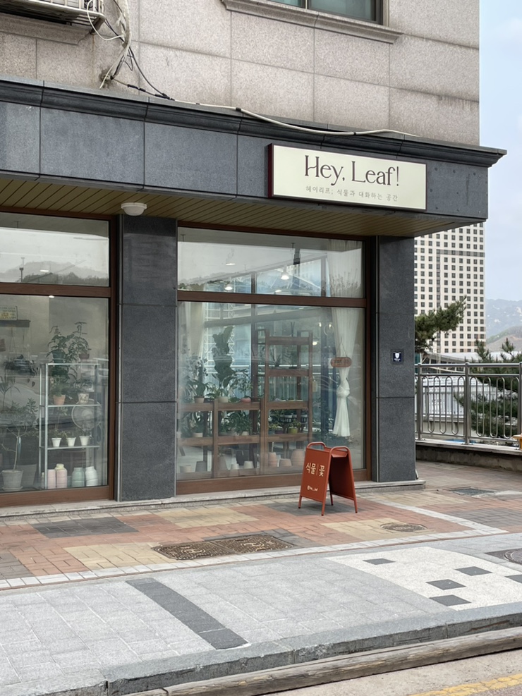 헤이리프 이미지