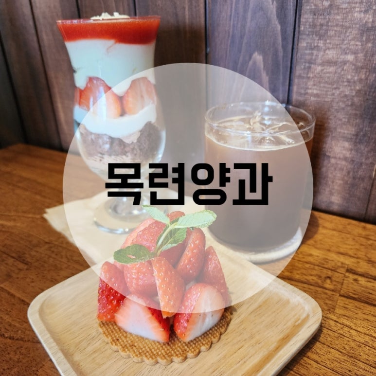 목련양과 이미지
