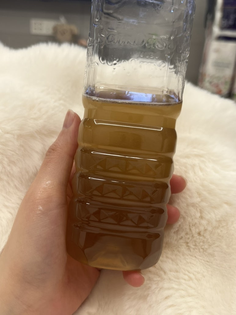 교촌치킨봉선 이미지