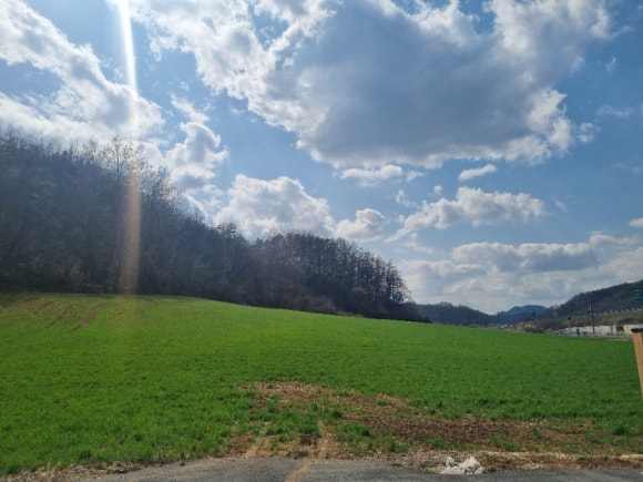 펫힐링달빛동물원 캠핑장 이미지