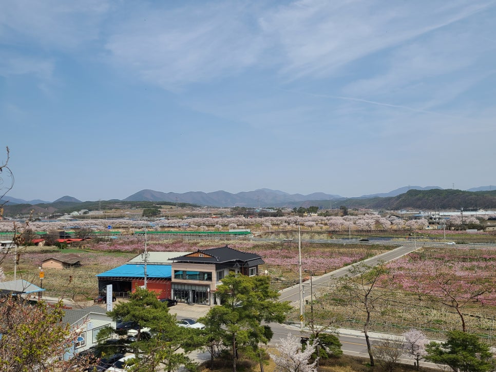 임고4 이미지