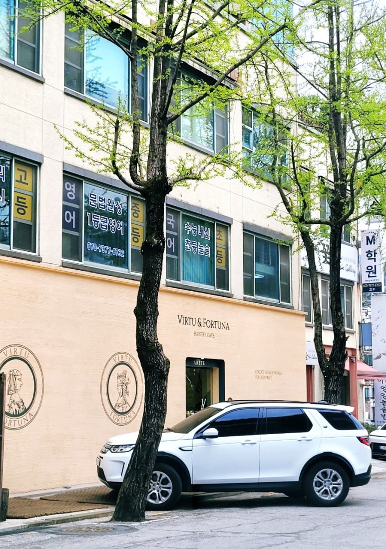 비르투&포르투나 이미지