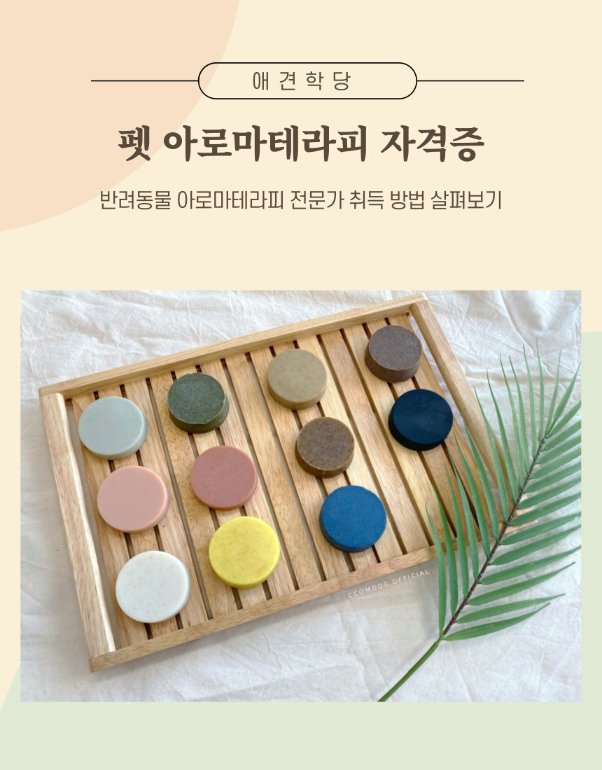 애견학당펫푸드전문학원 이미지