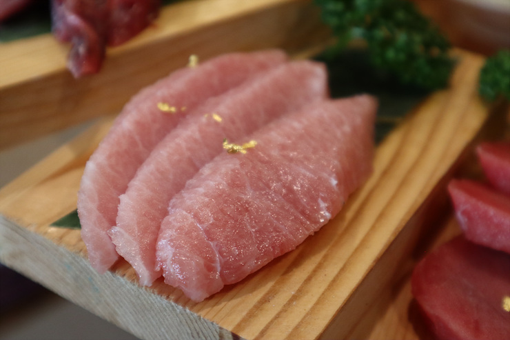 도참치 이미지
