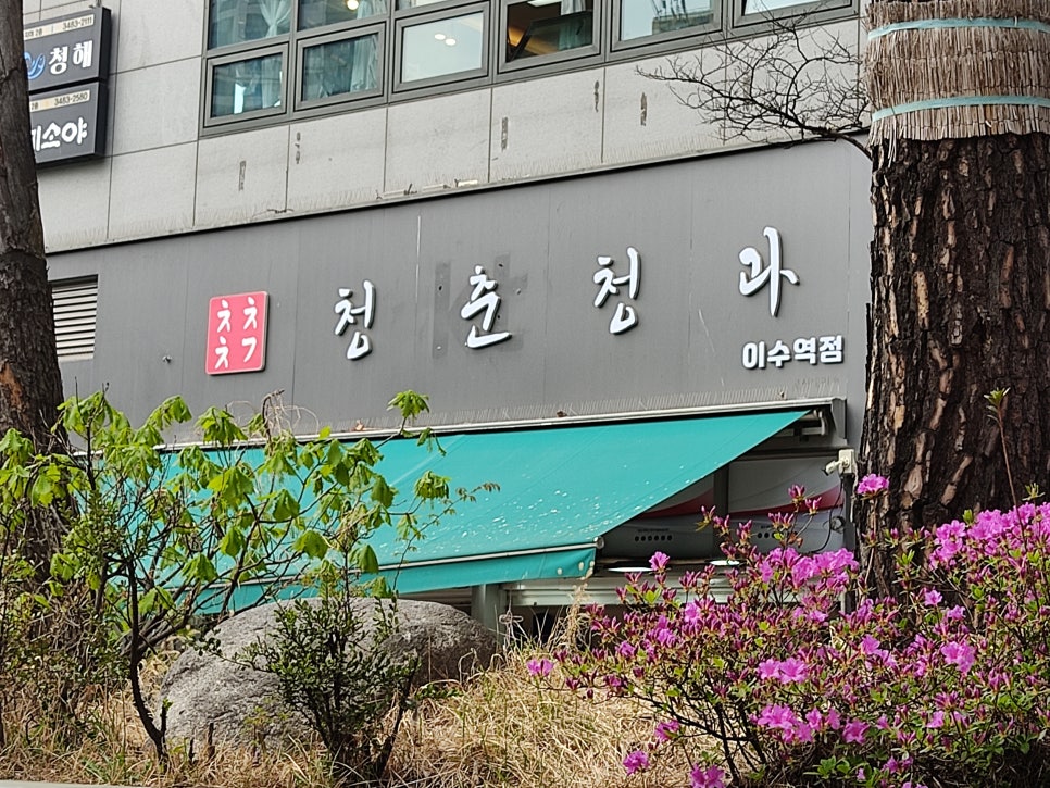 청춘청과 이미지