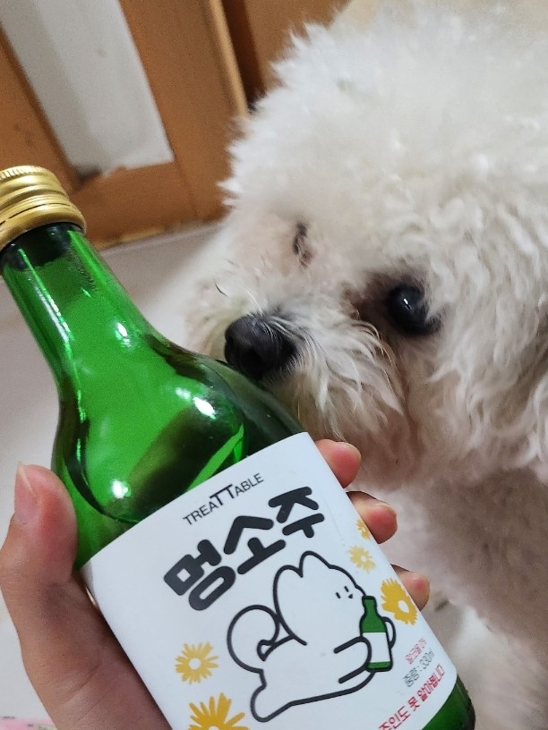 핑크펑크드 이미지