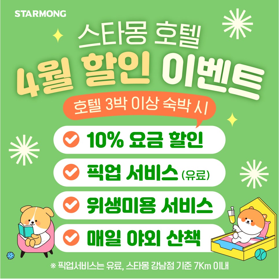서울 푸들 호텔링: 스타몽 3박 4일 호캉스 후기 — 사진 7