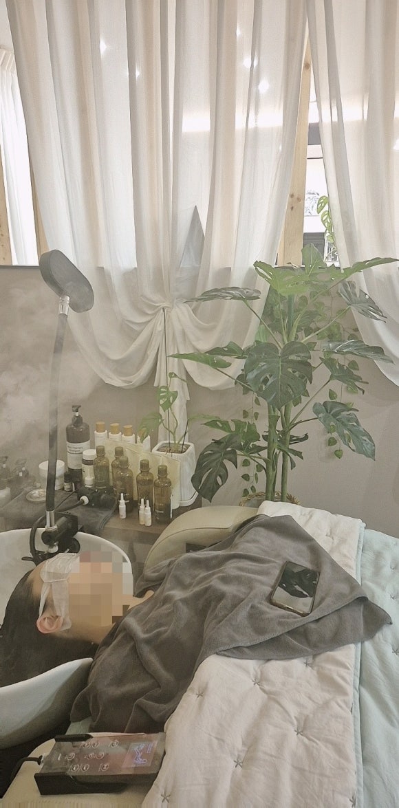 헤드스파루시 이미지