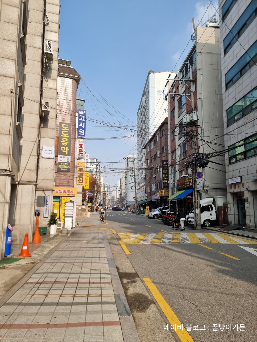 그린앤피니 이미지