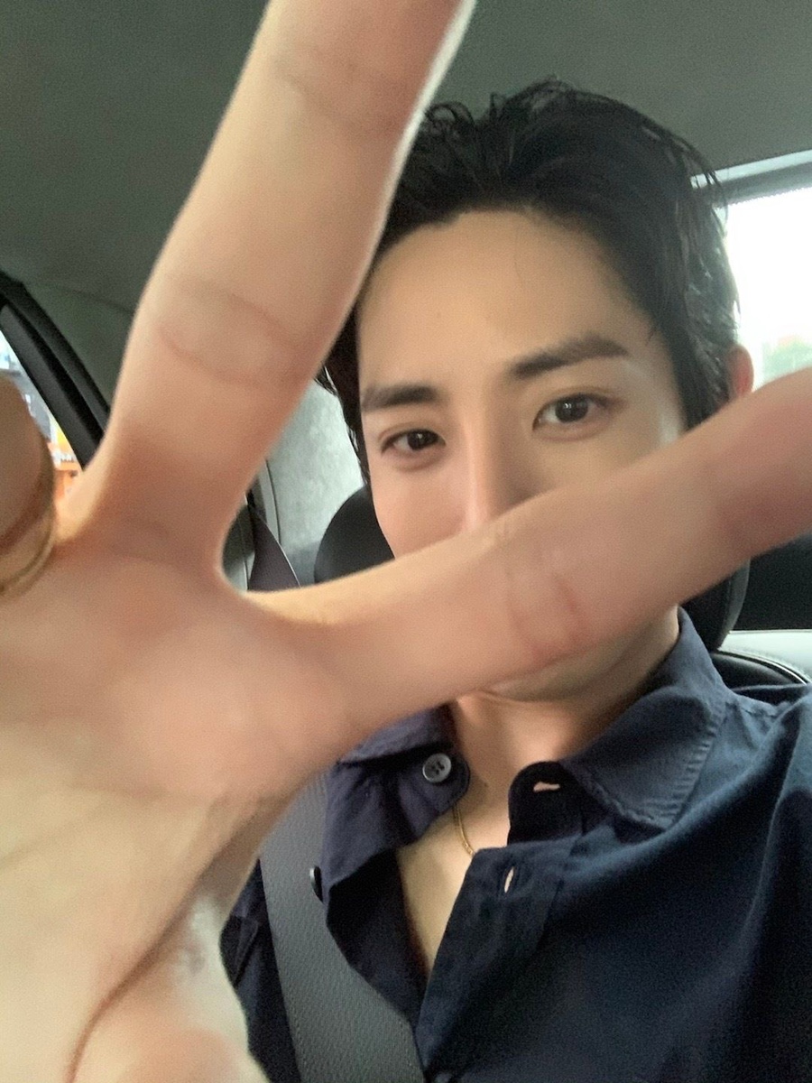 리프디자인 이미지