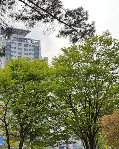 청춘청과 이미지