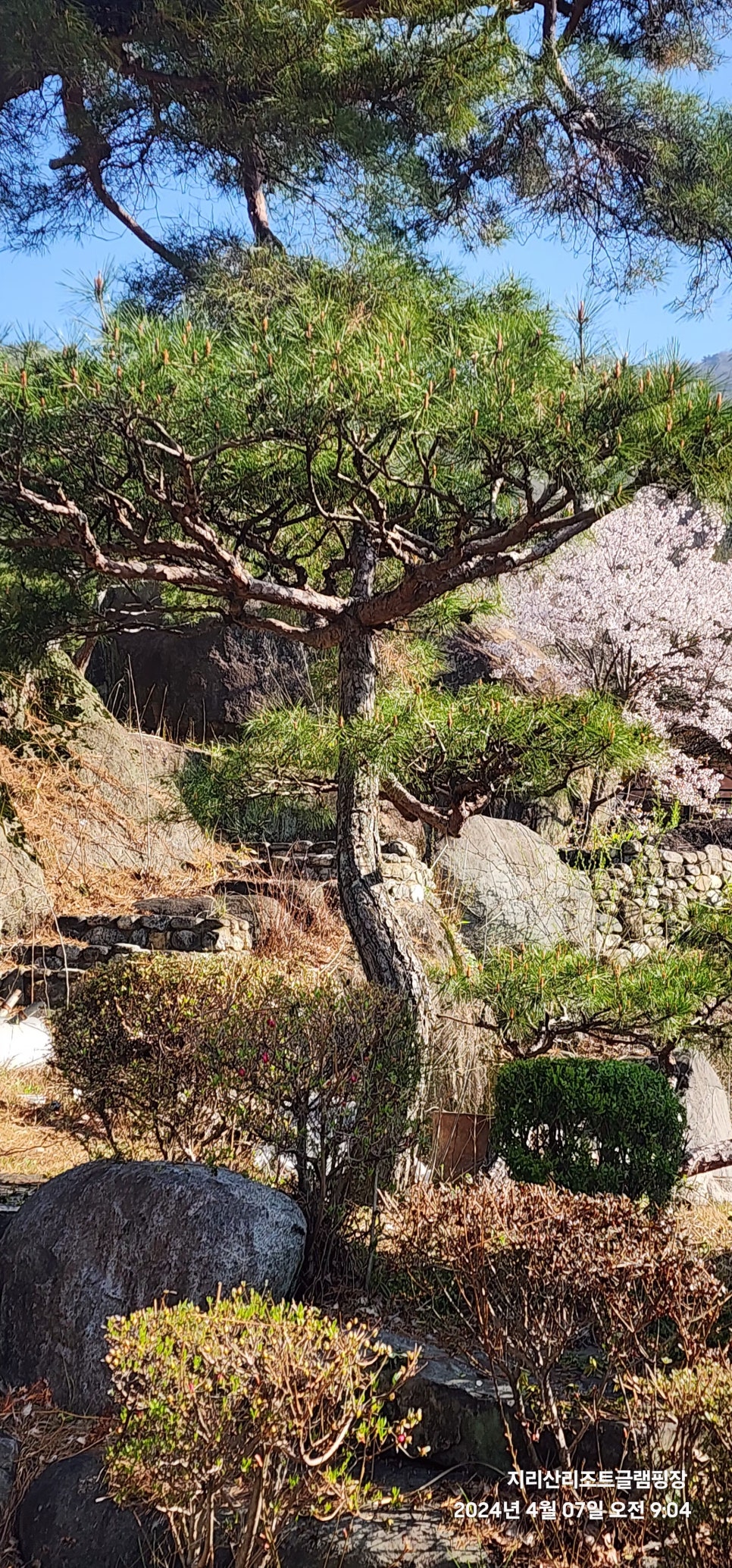 지리산리조트 이미지