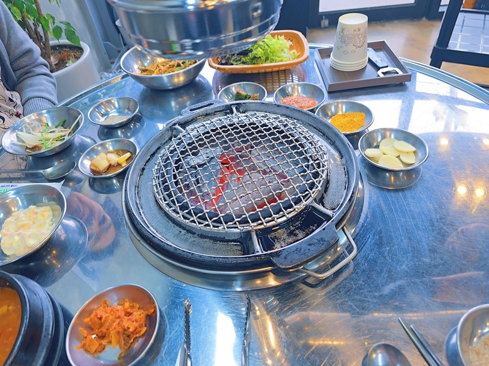 돗배갈매기 이미지