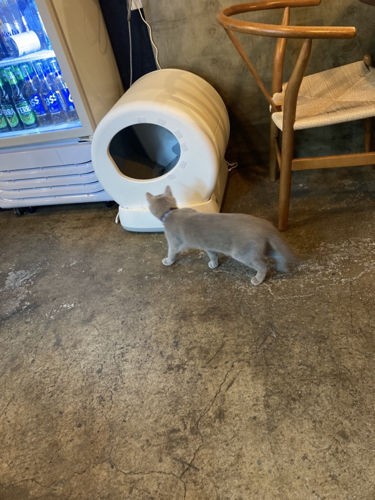홍담 이미지