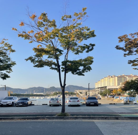 동해회대게수산 이미지