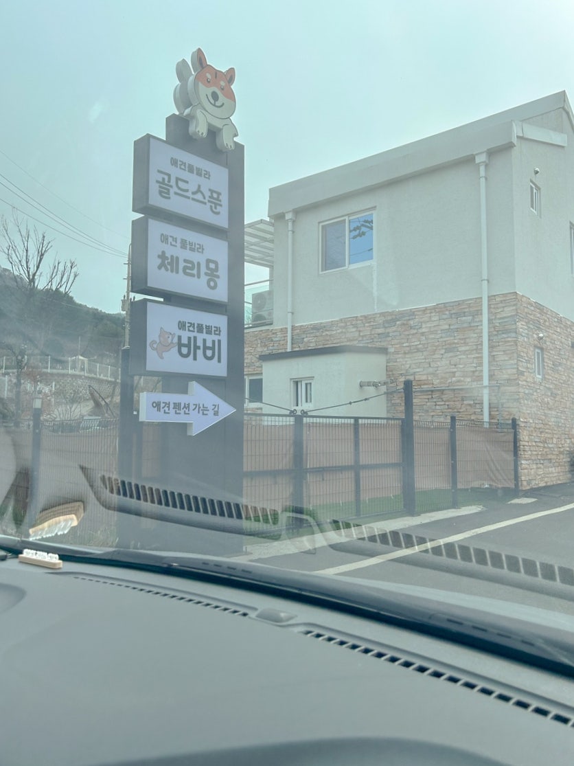 체리몽애견풀빌라 이미지