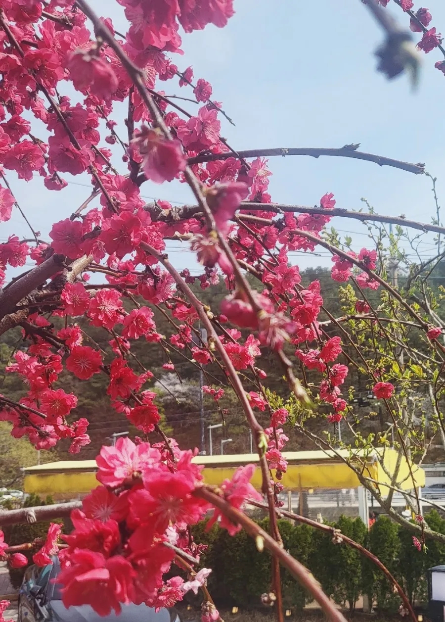 (주)대화환경 이미지