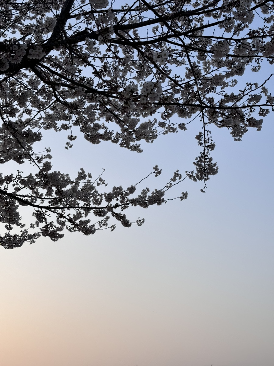 삼백짬뽕 이미지
