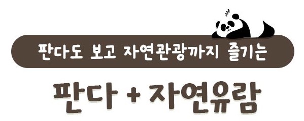 쏭투어 이미지