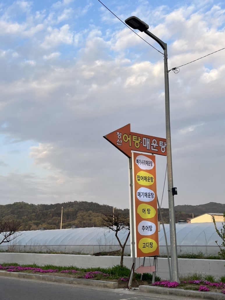 낙동강어탕매운탕 이미지