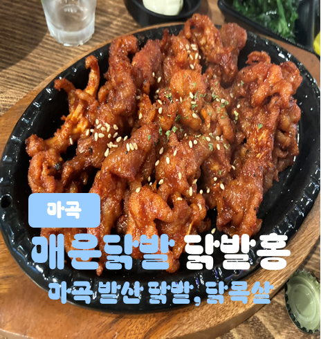 닭발홍 이미지