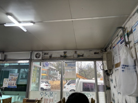 민들레국시 이미지