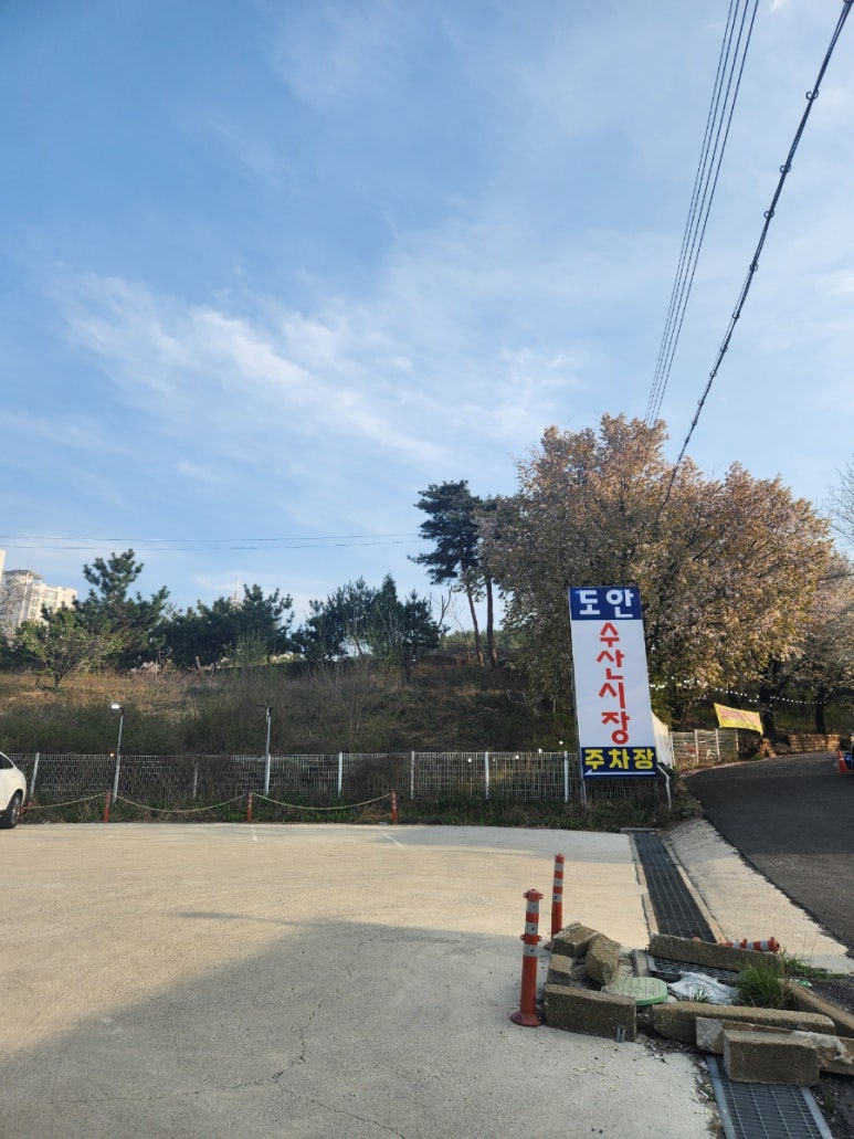 도안수산식당 이미지