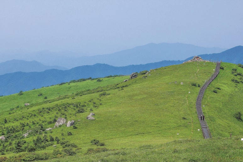 명산전자 이미지